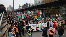 Palästina Sudan Kongo Demo am 8.11.2025 in Hamburg