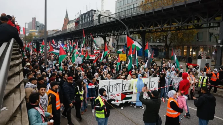 Palästina Sudan Kongo Demo am 8.11.2025 in Hamburg